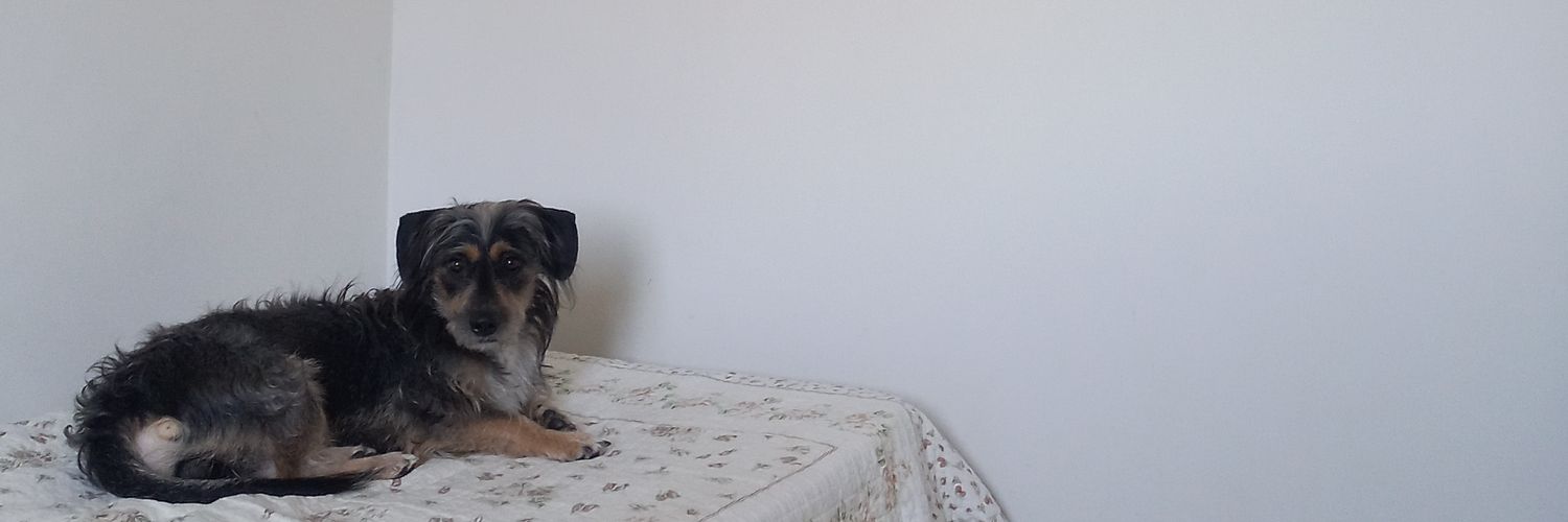 itsferdim's profile banner image