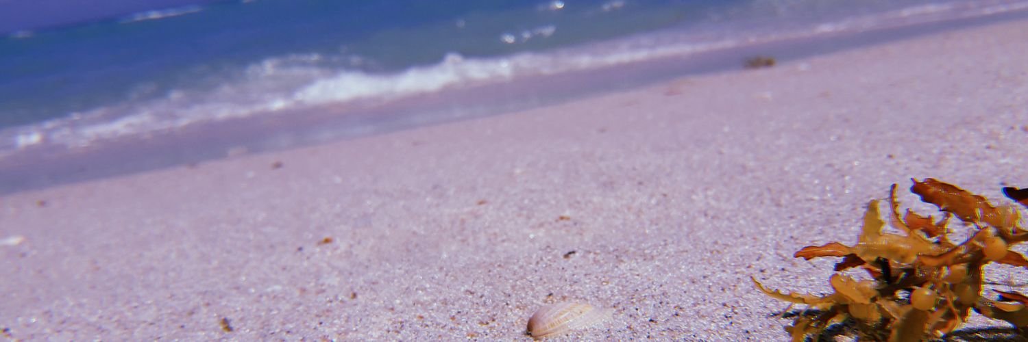 lluciia_'s profile banner image
