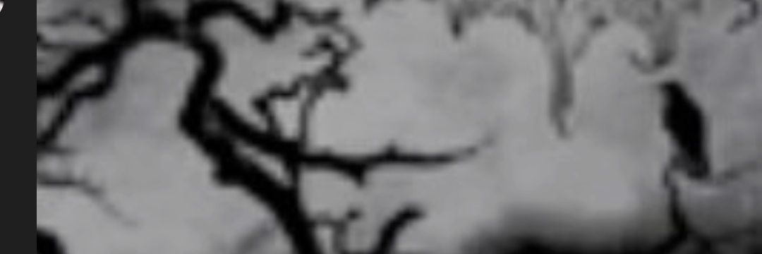 LuxTrevosa's profile banner image
