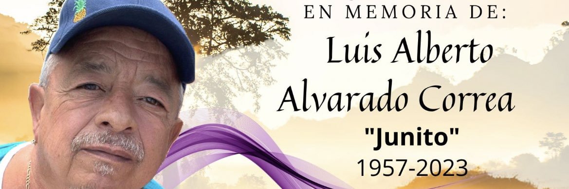 edmalisse's profile banner image