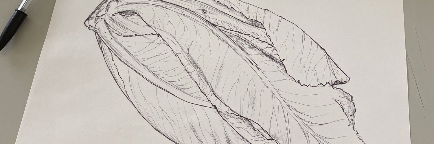 aletsnayn's profile banner image