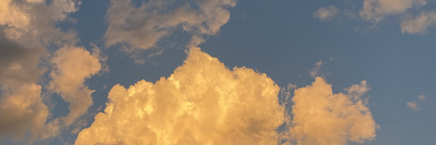 annnabulk's profile banner image