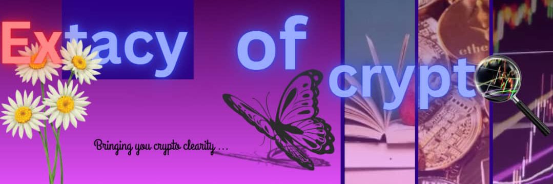 Extacy of crypto banner