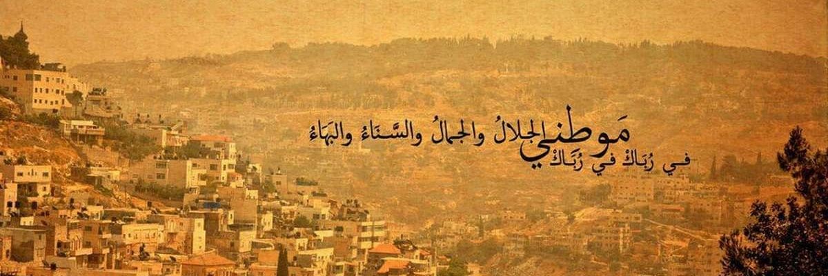 Ola Anan - عُلا عنان banner