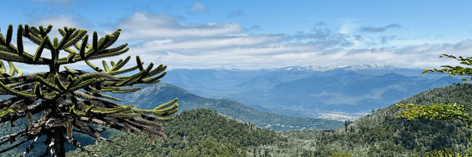 Felipe Vergara banner