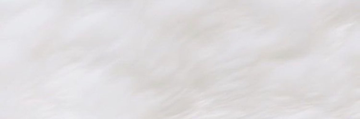 rlyeuoche's profile banner image