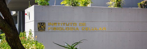 IFC_UNAM Profile Banner