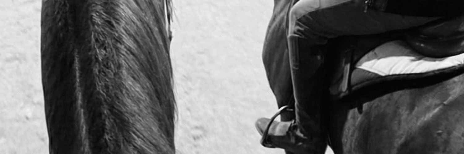 هِيَ ودافنشي banner