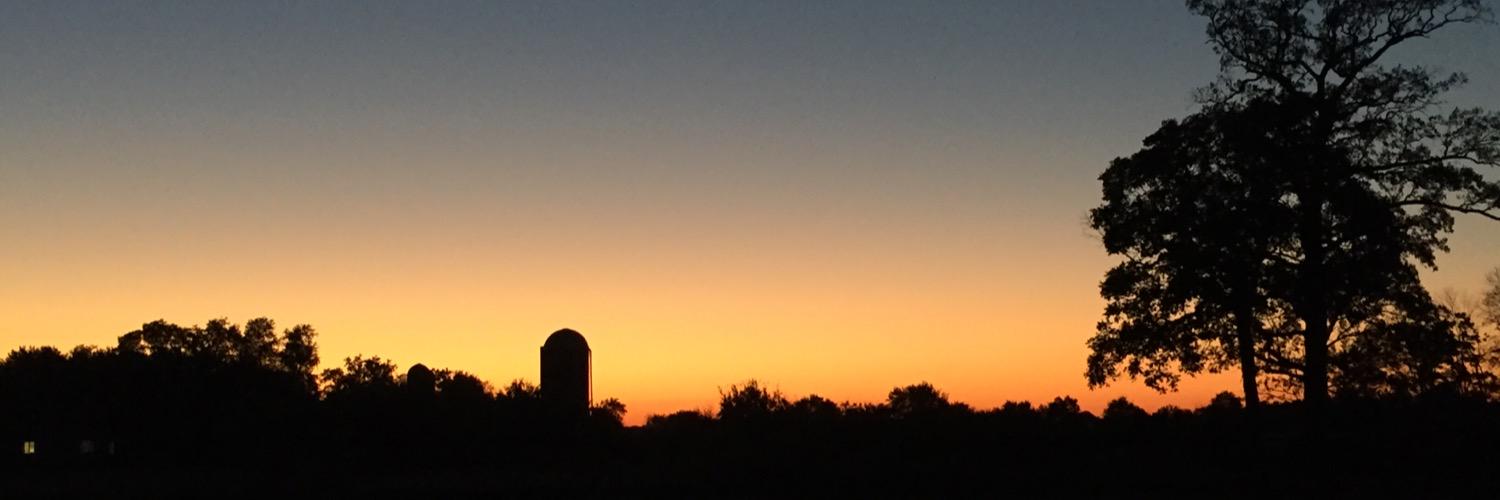 Jenny Michael banner