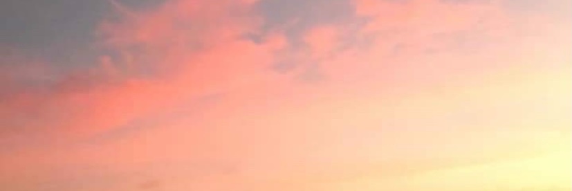 Angelique_P's profile banner image