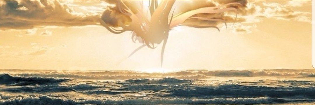 7777_htlr's profile banner image