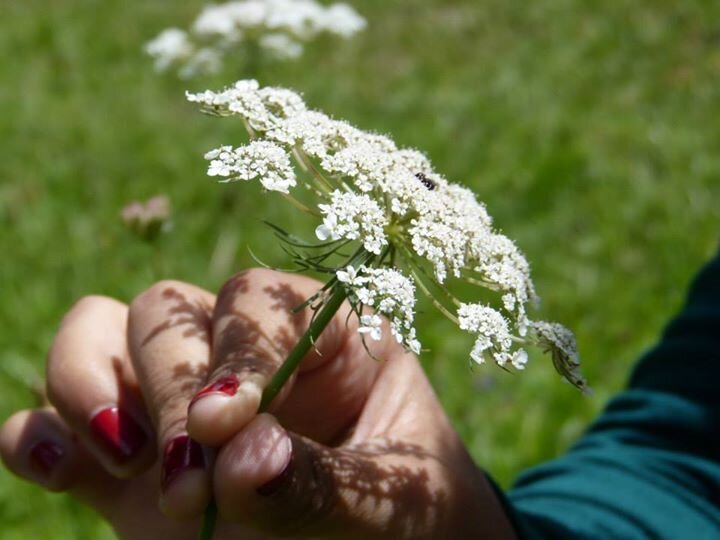 maresflor's profile banner image
