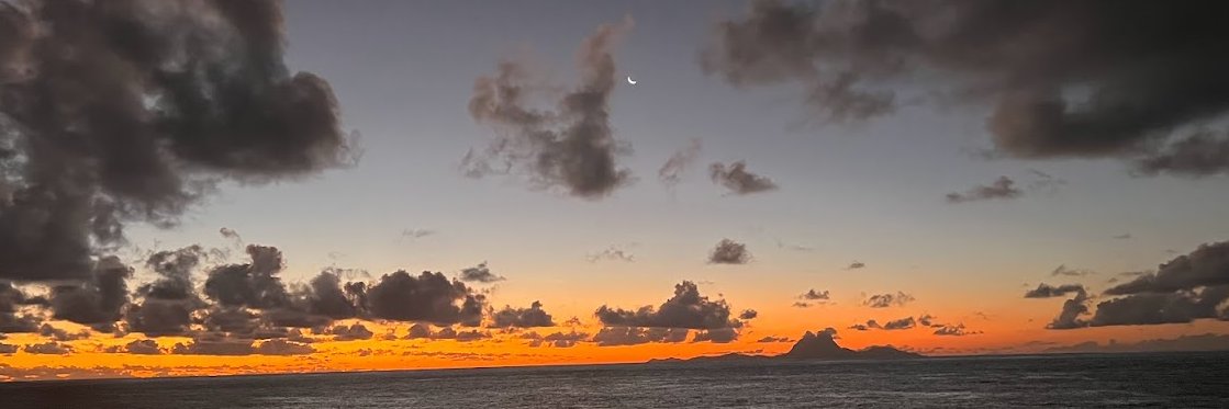 Wildune521's profile banner image