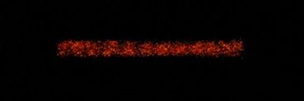 jeongjo58799002 Profile Banner