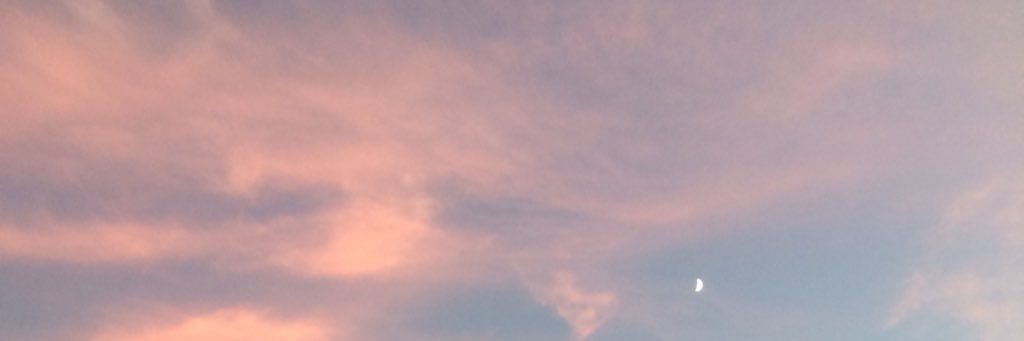 ChristaAdelaide's profile banner image