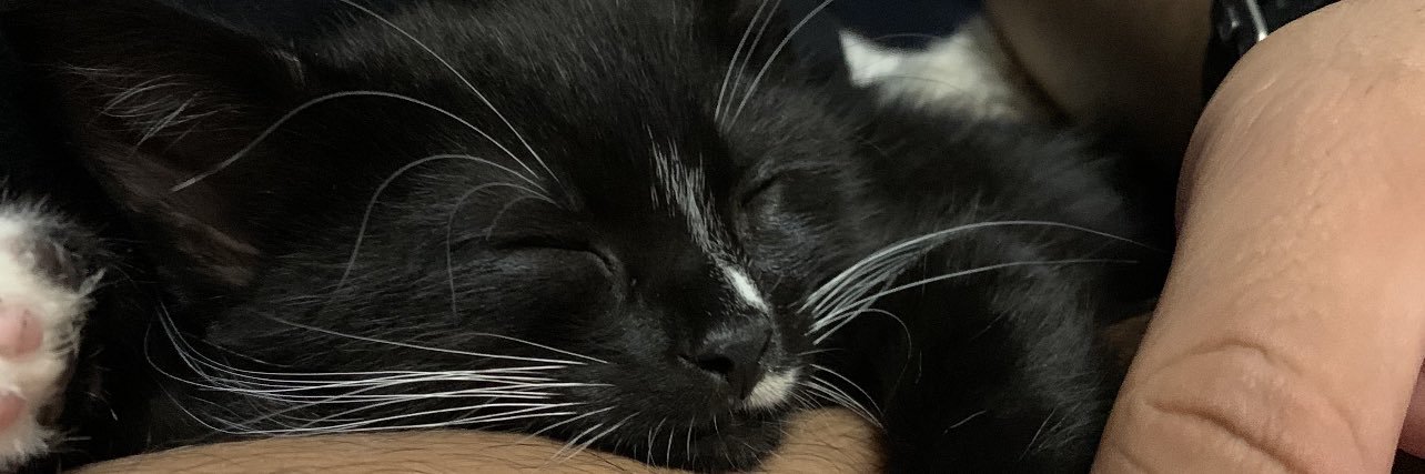 CriizzLL's profile banner image