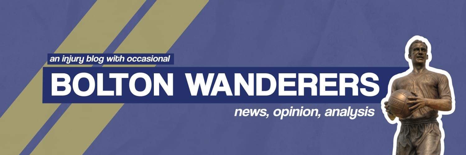 Lion of Vienna banner