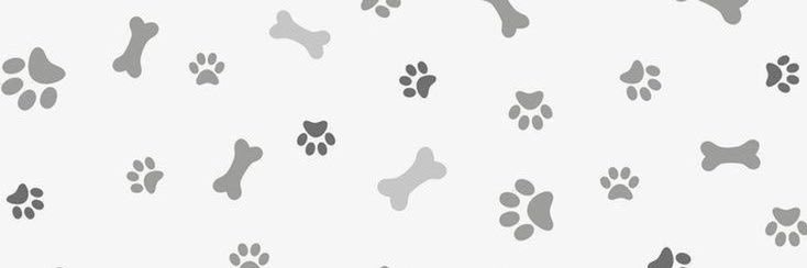 ❄️ Iɳƙყ ꨄ ❄️ banner