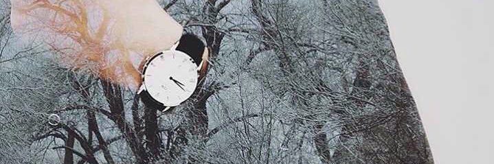 mjeedissa's profile banner image