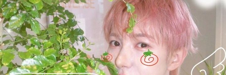 injoonpdf's profile banner image