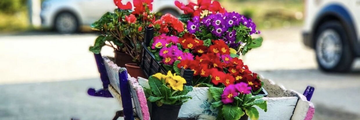 sinemaci_yucel's profile banner image