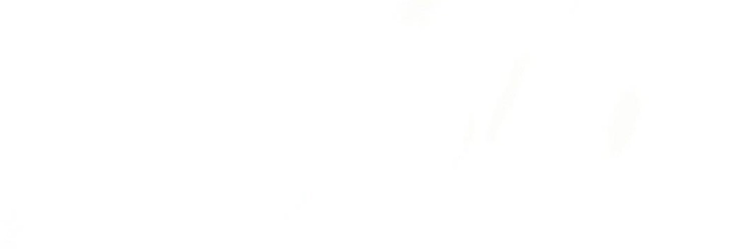 poloboyali's profile banner image