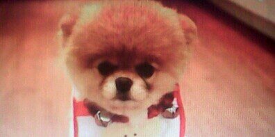 NatiLeidy's profile banner image