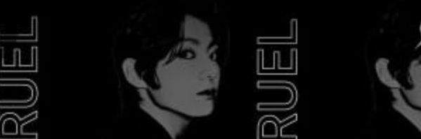 Stiijeon banner
