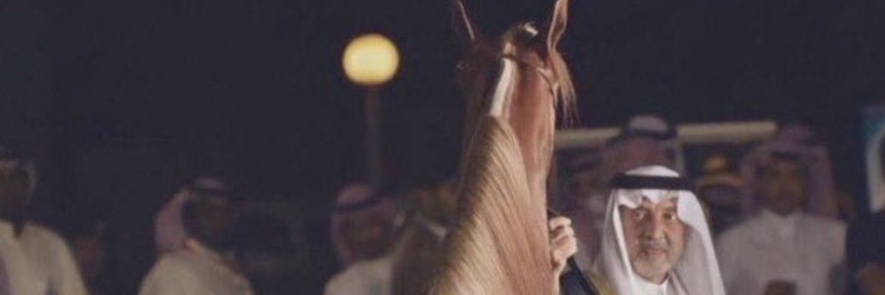 mo7mad9794's profile banner image
