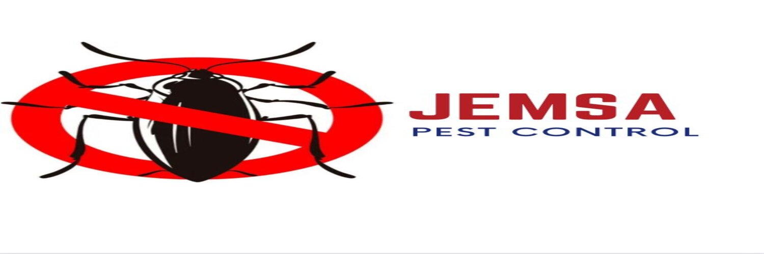 JemsaPest's profile banner image