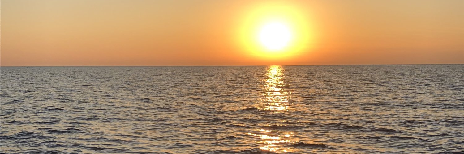 SashilDurve's profile banner image