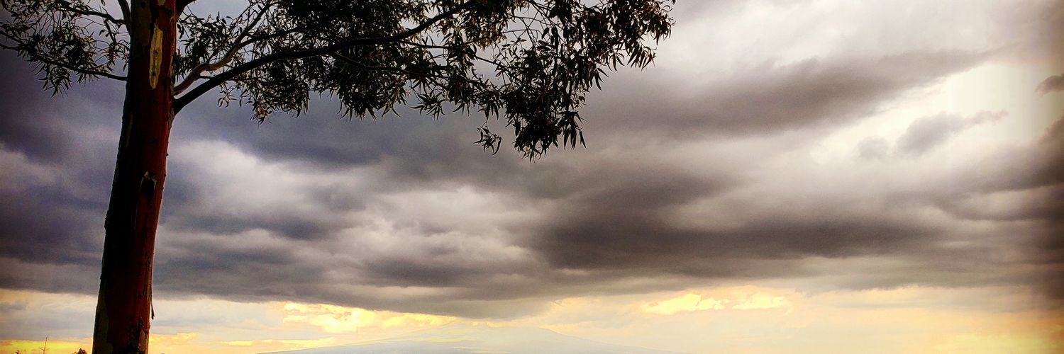 Ana Franco 👽☁️💫 banner