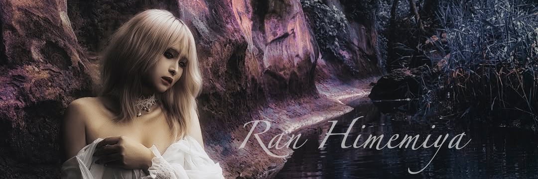 himemiya_ran's profile banner image