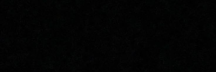 nicky's banner