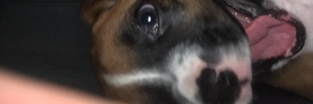 iwillbhigh's profile banner image