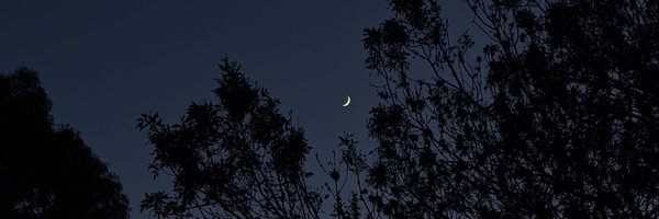 c_chapelin Profile Banner