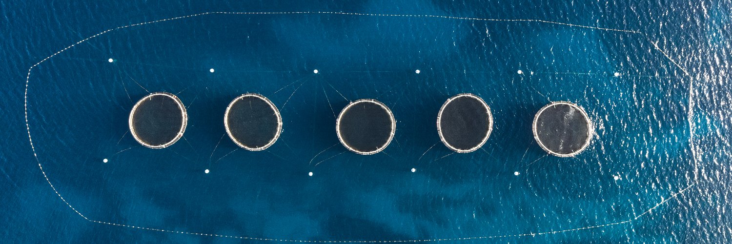 BlueAquaEdu Project banner