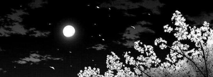 bearluna11's profile banner image