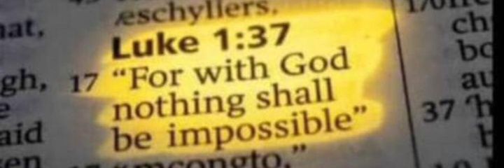 berrymaniko's profile banner image