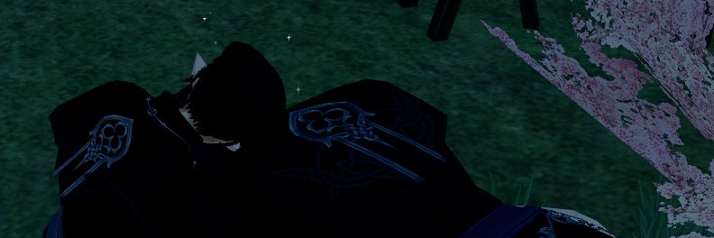 막돼먹은 백반 banner