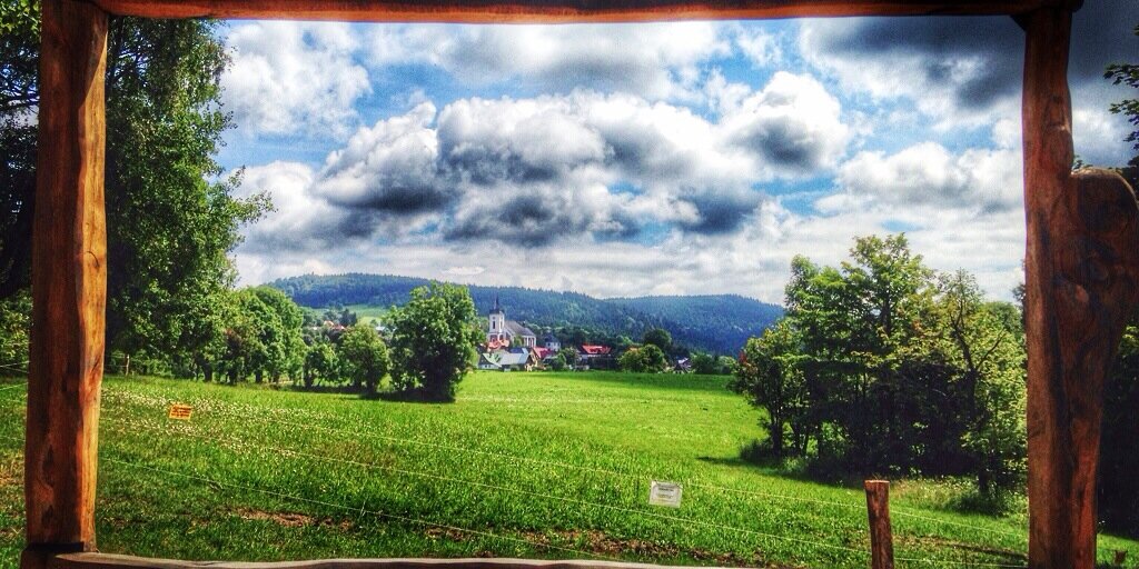 Petra Bohackova banner