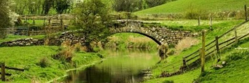 Restore Steve banner