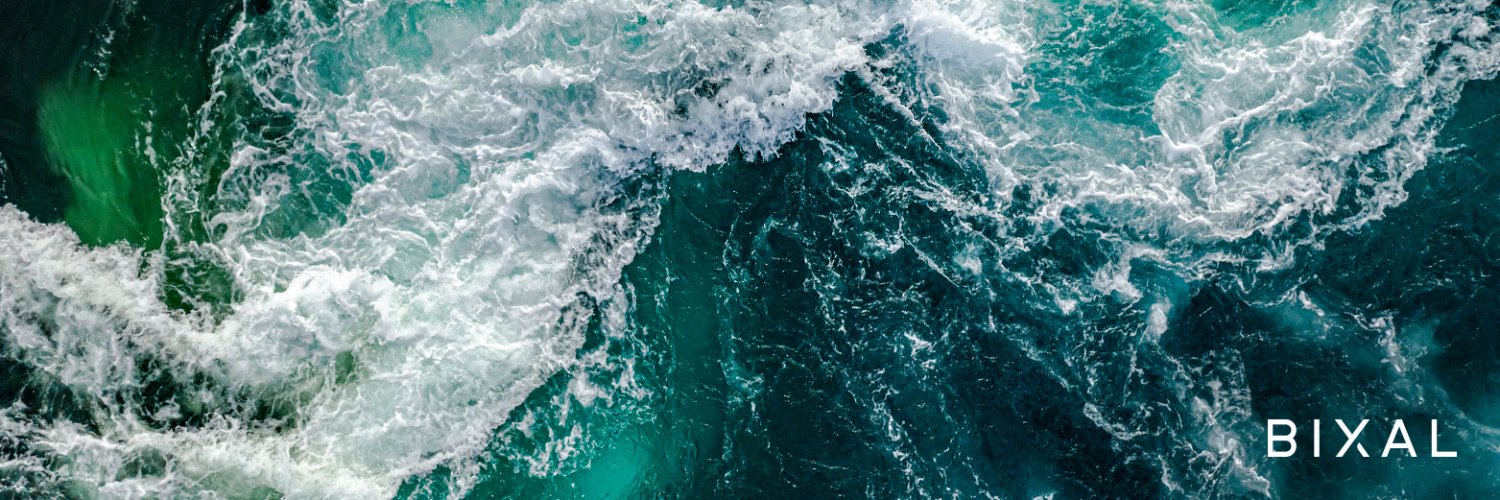Bixal banner