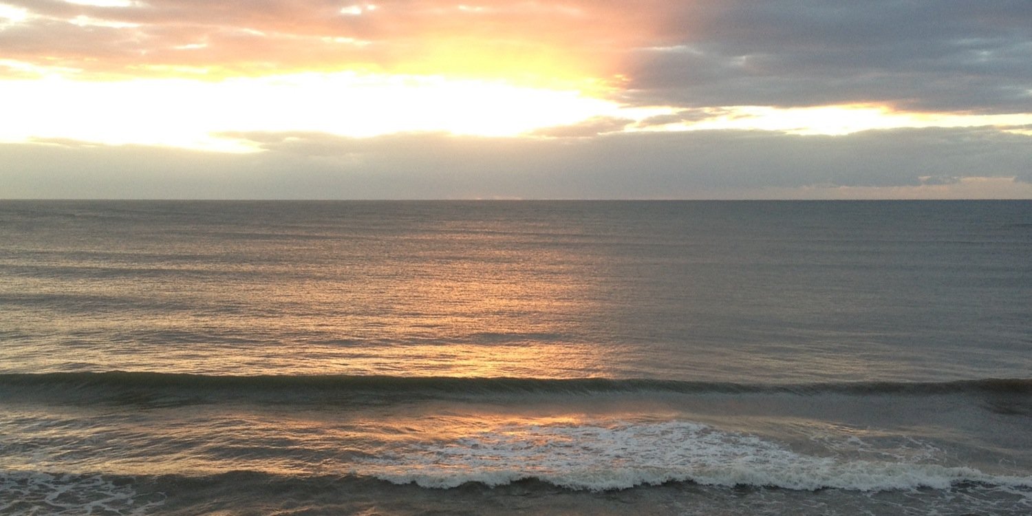 Thássia Silva banner