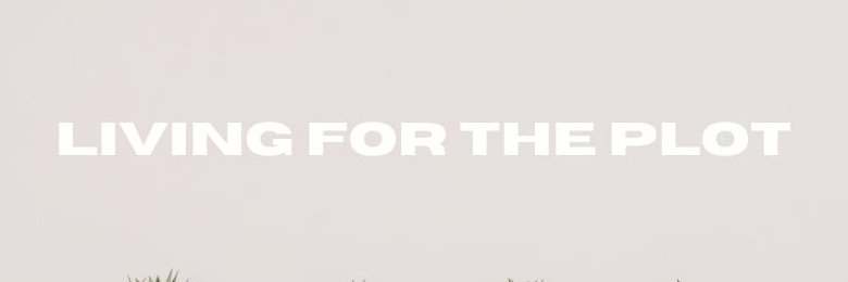 Stephanie Berti banner