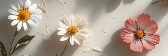 angely2929's profile banner image