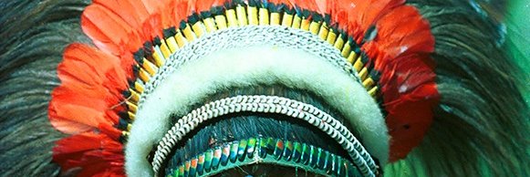 jaive banner