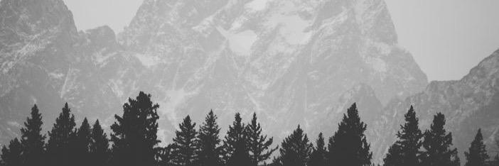 Luv_One_D's profile banner image