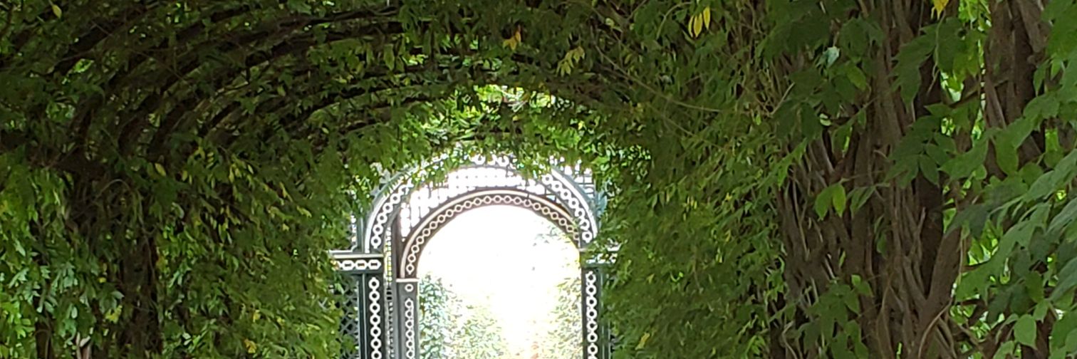 Jose Gotés Palazuelos banner