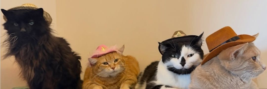 goodmorningrin's profile banner image
